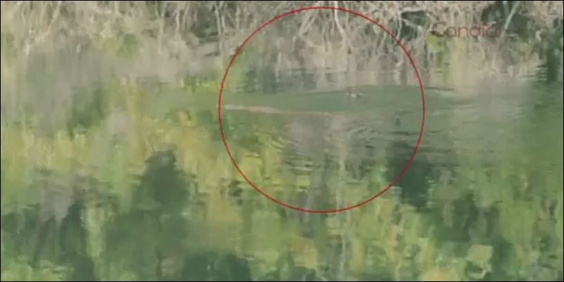 ΒΙΝΤΕΟ-Μήπως ο Σήφης έχει… αδερφό;