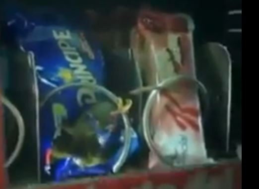 ΒΙΝΤΕΟ-Αρουραίος “επισκέφθηκε” αυτόματο πωλητή σνακ