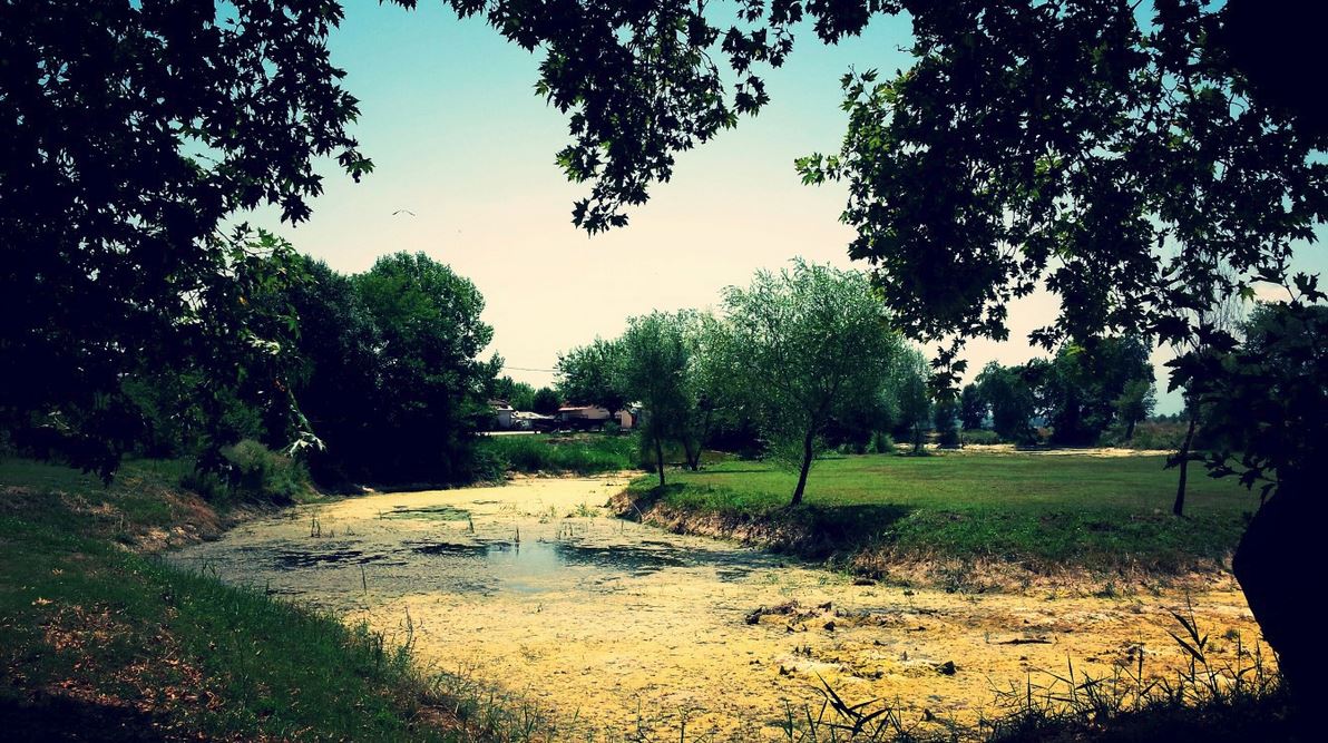 ΦΩΤΟ-“Στέρεψε” η λίμνη στο Κεφαλόβρυσο Τρικάλων