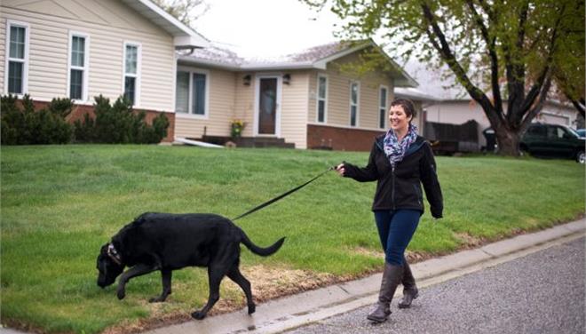 Η πρώτη ανοσοθεραπεία καρκίνου για σκύλους