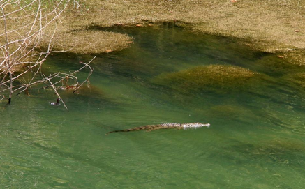 Μέχρι και δύο μήνες μπορεί να ψάχνουν τον Σήφη