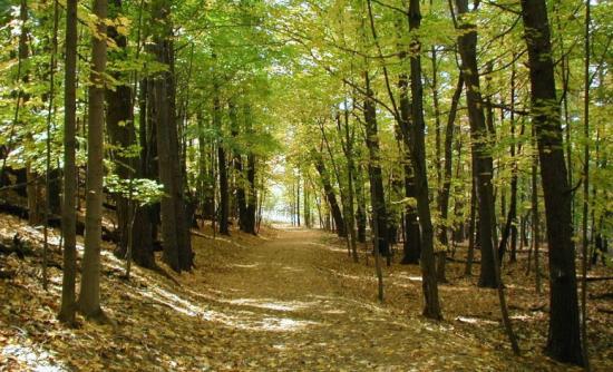 Δεκατέσσερα νέα οχήματα για την προστασία των δασών