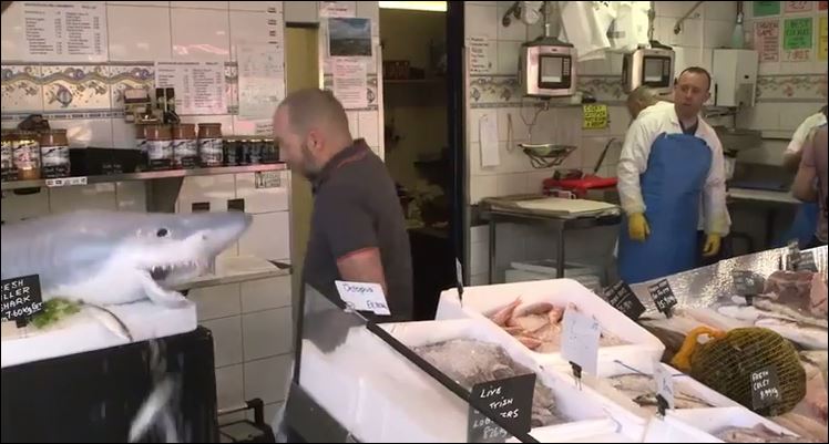 ΒΙΝΤΕΟ-Καρχαρίας επιτίθεται στους πελάτες ψαράδικου