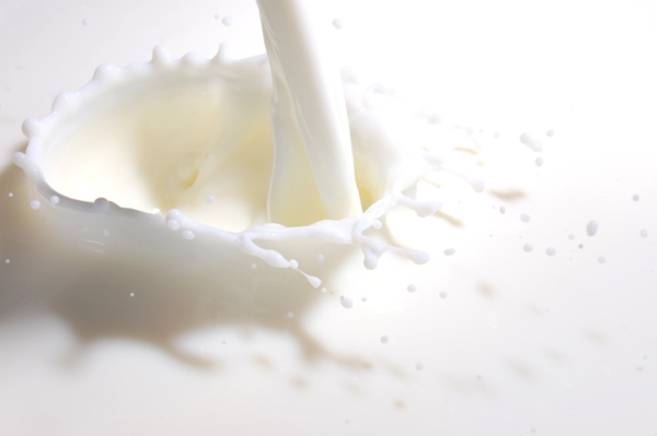 Έκθεση: Θα παράγουμε λιγότερο γάλα, θα εισάγουμε περισσότερο