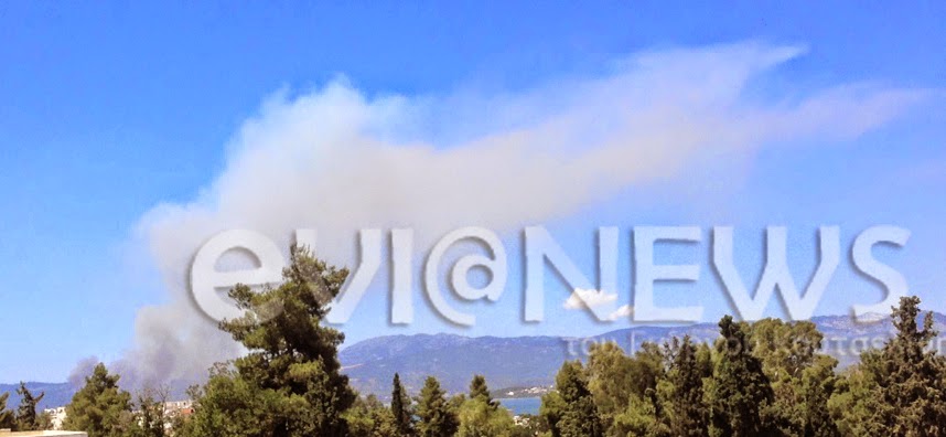 ΦΩΤΟ-Φωτιά στα Πολιτικά Ευβοίας