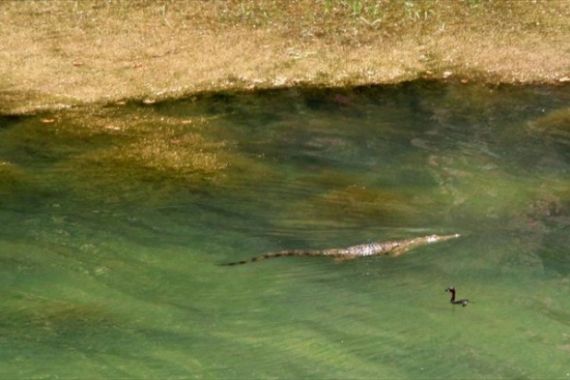 Πόλος έλξης για τους τουρίστες ο “Σήφης”