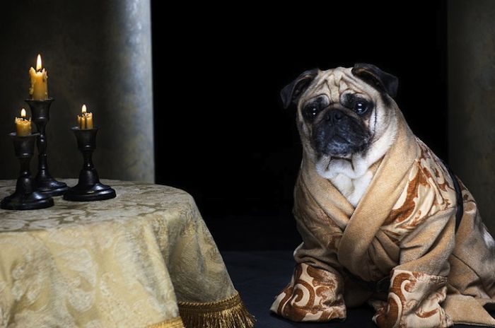 perierga.gr - Τρία κουτάβια σε ρόλους από το "Game of Thrones"!