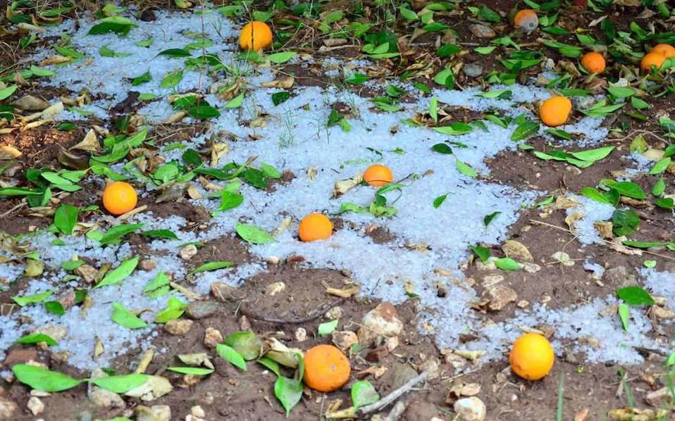 ΕΛΓΑ: Αποζημιώσεις 1,3 εκατ. ευρώ σε αγρότες