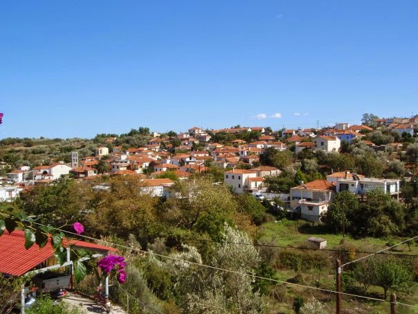 Τραγωδία με 15χρονο στην Εύβοια