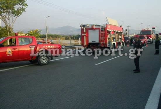 Υπό έλεγχο η πυρκαγιά στη Στύρφακα Λαμίας