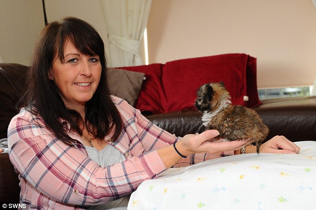 The tiny animal was fed by a pipette for weeks after being too small to suckle on its mother at birth 