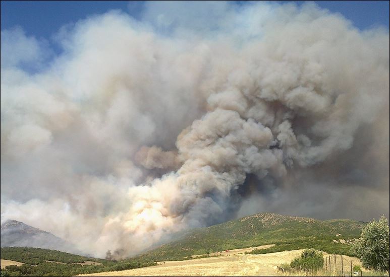 Υπό μερικό έλεγχο η πυρκαγιά στα Τρίκαλα
