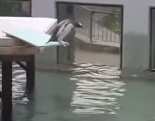 ΒΙΝΤΕΟ-Ο μικρός πιγκουίνος που φοβάται το νερό