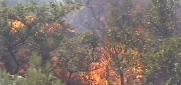 BINTEO-Aνεξέλεγκτη η φωτιά στην Κίσαμο Χανίων