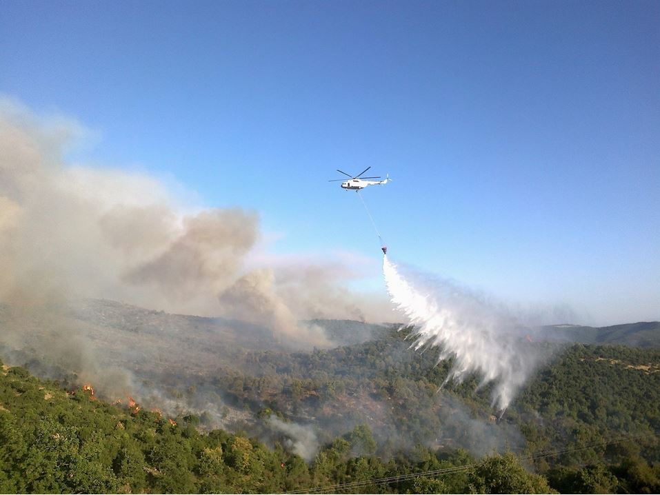 ΦΩΤΟ-Σε εξέλιξη η φωτιά στα Αντιχάσια Τρικάλων