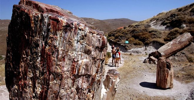 Υποψήφιο για μνημείο παγκόσμιας κληρονομιάς το Απολιθωμένο Δάσος Λέσβου