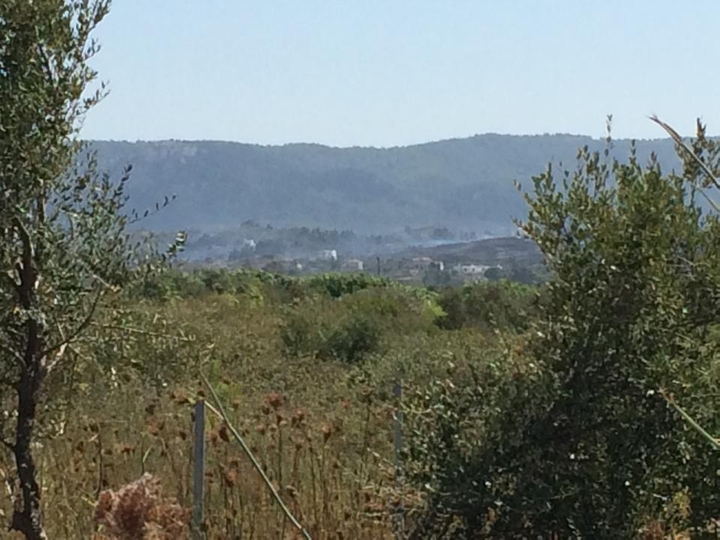 ΦΩΤΟ-Υπό μερικό έλεγχο η φωτιά στη Ρόδο