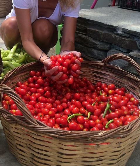 ΦΩΤΟ-Η Ελένη Μενεγάκη μας δείχνει τη… σοδειά της