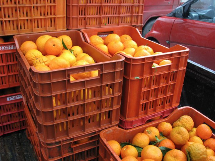 Ενίσχυση ζητούν οι παραγωγοί εσπεριδοειδών Λακωνίας