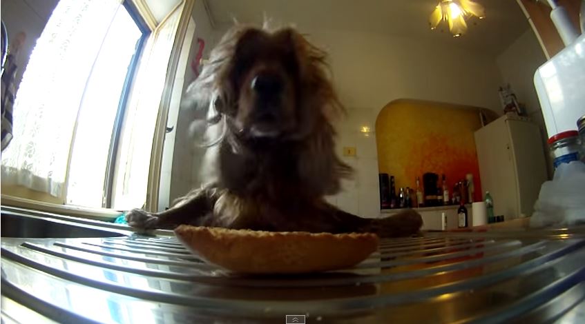 ΒΙΝΤΕΟ-Κλέφτης εν δράσει