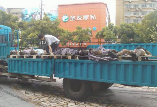 Από αμέλεια πέθαναν 65 άνθρωποι…