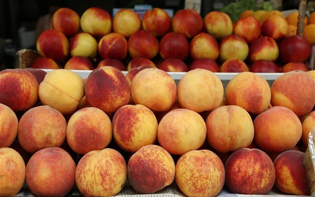 Ζητούν απογραφή των φρούτων και αποζημίωση