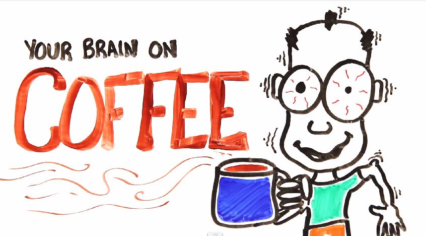 ΒΙΝΤΕΟ-Η επίδραση της καφεΐνης στον εγκέφαλο