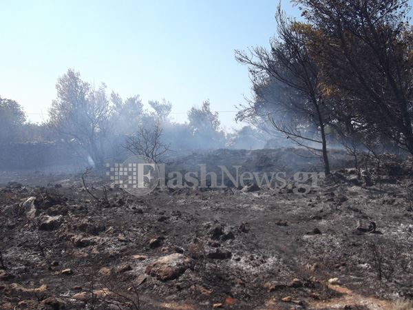 ΦΩΤΟ-Φωτιά λαχτάρησε τους κατοίκους στις Κορακιές Χανίων
