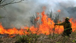 ΤΩΡΑ-Πυρκαγιά στην Περιμετρική Οδό Πατρών