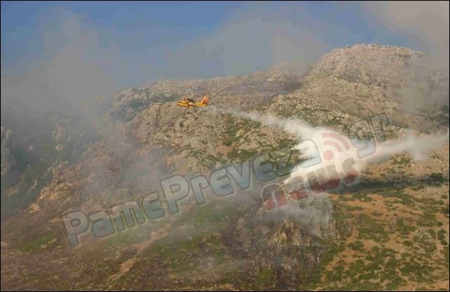 ΦΩΤΟ-Σε εξέλιξη φωτιά στα Μουζακαίικα Πρέβεζας