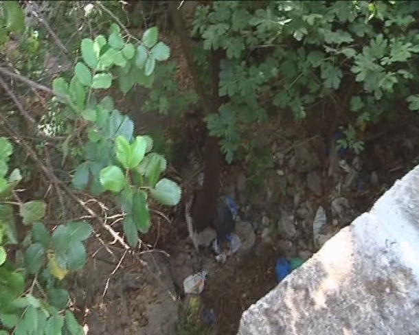 Οικονομικά τα κίνητρα της διπλής δολοφονίας στη Μάνη