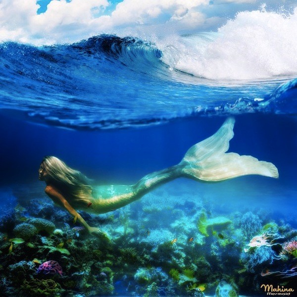 ΦΩΤΟ-Τα βατραχοπέδιλα που σε κάνουν… γοργόνα