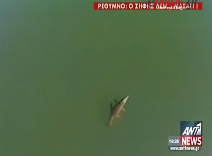 ΒΙΝΤΕΟ-Ο Σήφης δεν… τσιμπάει στα δολώματα