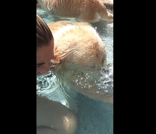 ΒΙΝΤΕΟ-Σκύλος κάνει μπουρμπουλήθρες