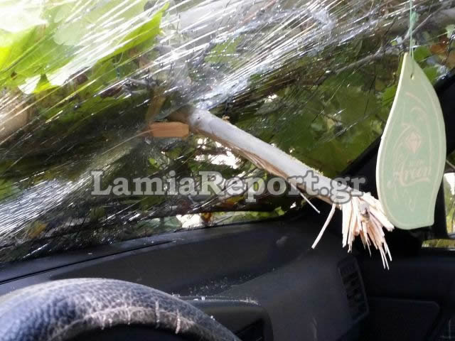 ΦΩΤΟ-Πλάτανος “καρφώθηκε” σε αυτοκίνητο