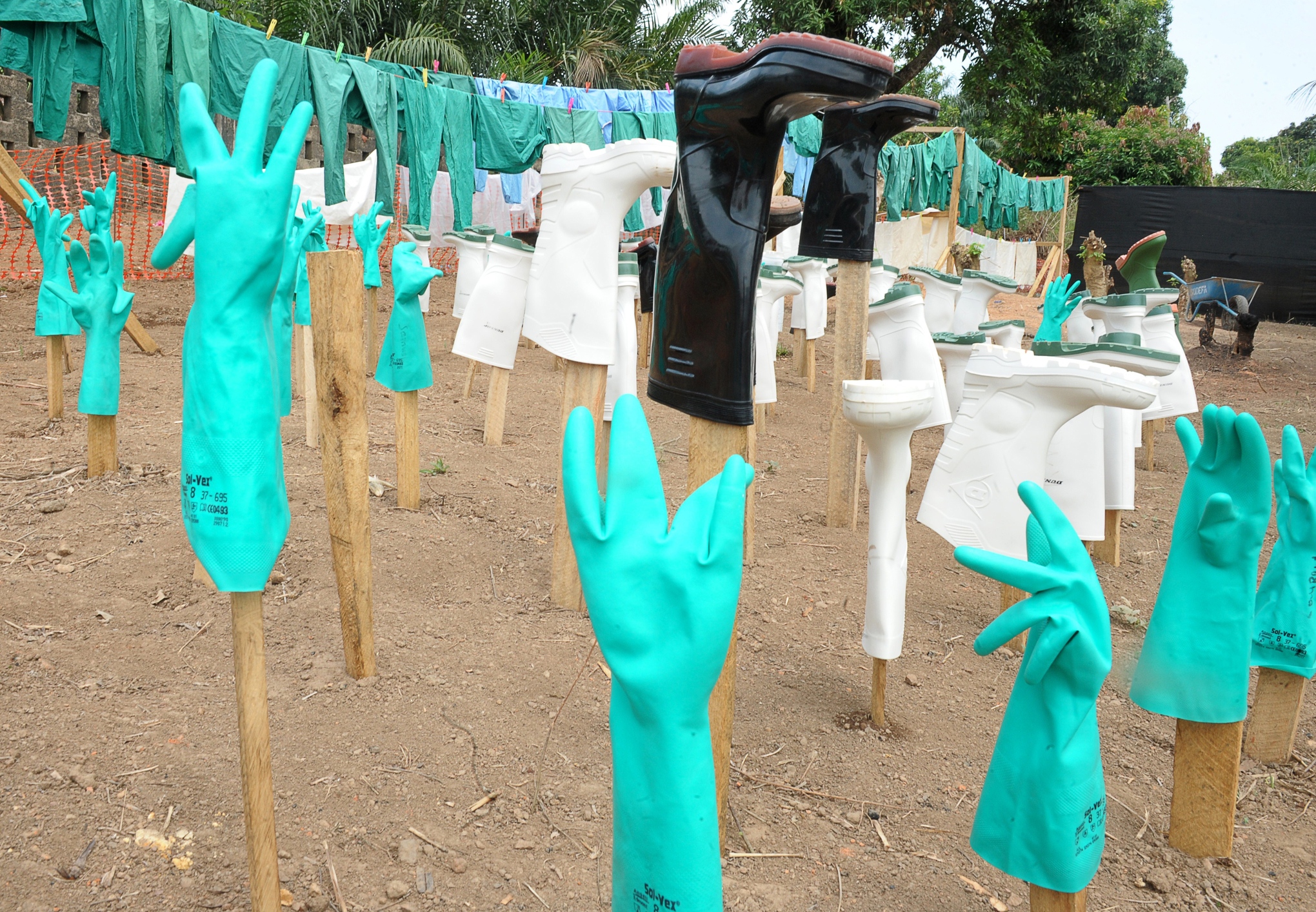 Έμπολα: Απαιτείται κινητοποίηση πόρων στις πληγείσες χώρες