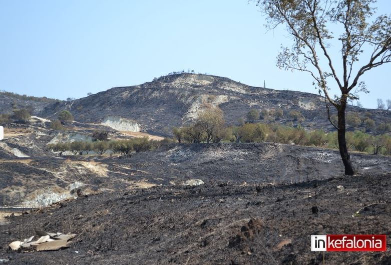 Συνελήφθη για τις φωτιές στην Κεφαλονιά