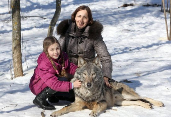 BINTEO-Οικογένεια έχει λύκους για… κατοικίδια