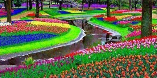 ΦΩΤΟ-Ένα “πολύχρωμο” πάρκο στην Ολλανδία