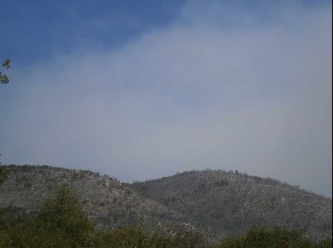 ΦΩΤΟ- Μαίνεται το πύρινο μέτωπο στο Καλοχώρι Καλαμπάκας