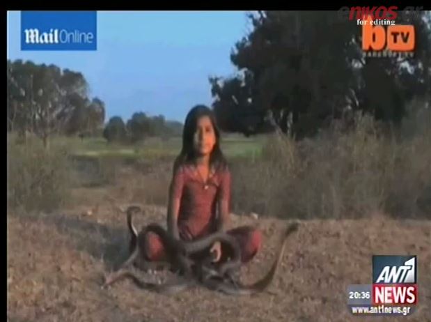 ΒΙΝΤΕΟ-11χρονη “παίζει” με βασιλικές κόμπρες