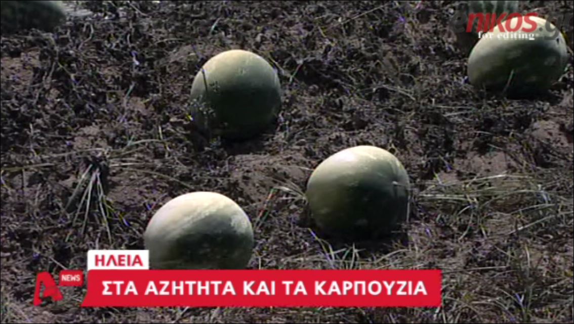 ΒΙΝΤΕΟ-Στα αζήτητα και τα καρπούζια