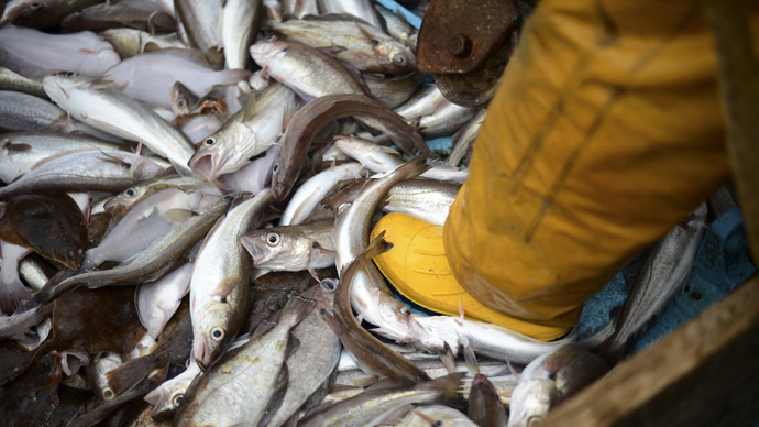 Ρωσία- Αίρεται το εμπάργκο για ορισμένα τρόφιμα