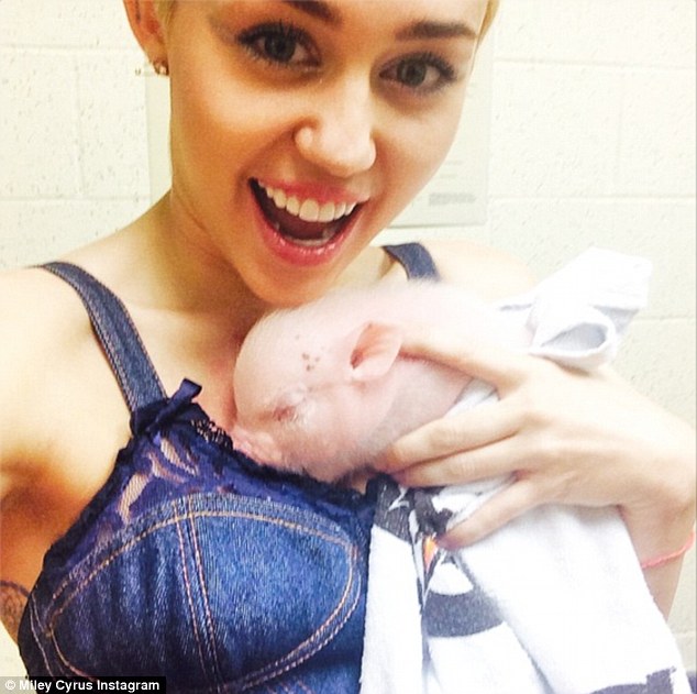Welcome to the family! Miley flashed an ecstatic smile as she tenderly held Bubba Sue close to her chest