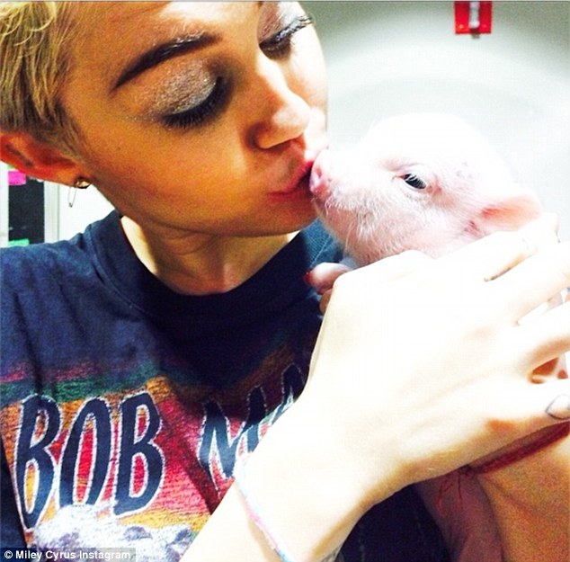 Kisses: Miley Cyrus gave her new piglet Bubba Sue a peck on the mouth in a photo shared on Sunday