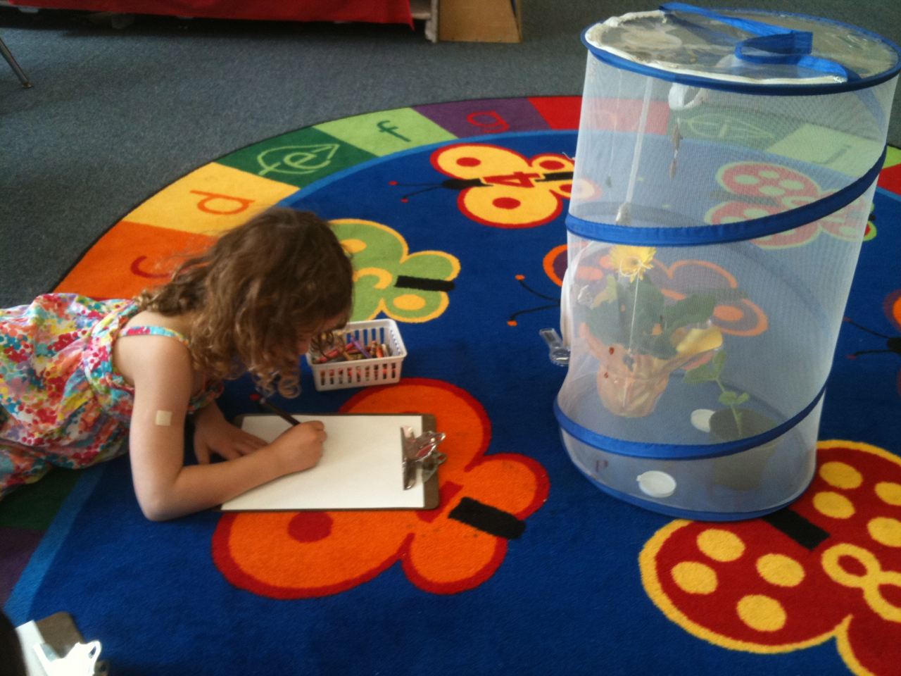 Νέες εγγραφές παιδιών στους παιδικούς σταθμούς