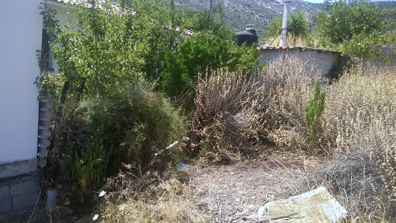 Φύτευε χασίς στην Παιανία