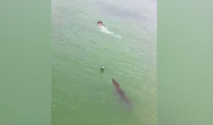 ΒΙΝΤΕΟ-Τρόμος για αγόρι που γλίτωσε οριακά από τα σαγόνια κροκόδειλου