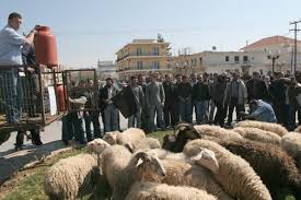 Συλλαλητήριο των κτηνοτρόφων στην Κομοτηνή