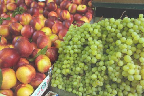 Ομάδα εποπτείας των εξαγωγών ελληνικών προϊόντων στη Ρωσία